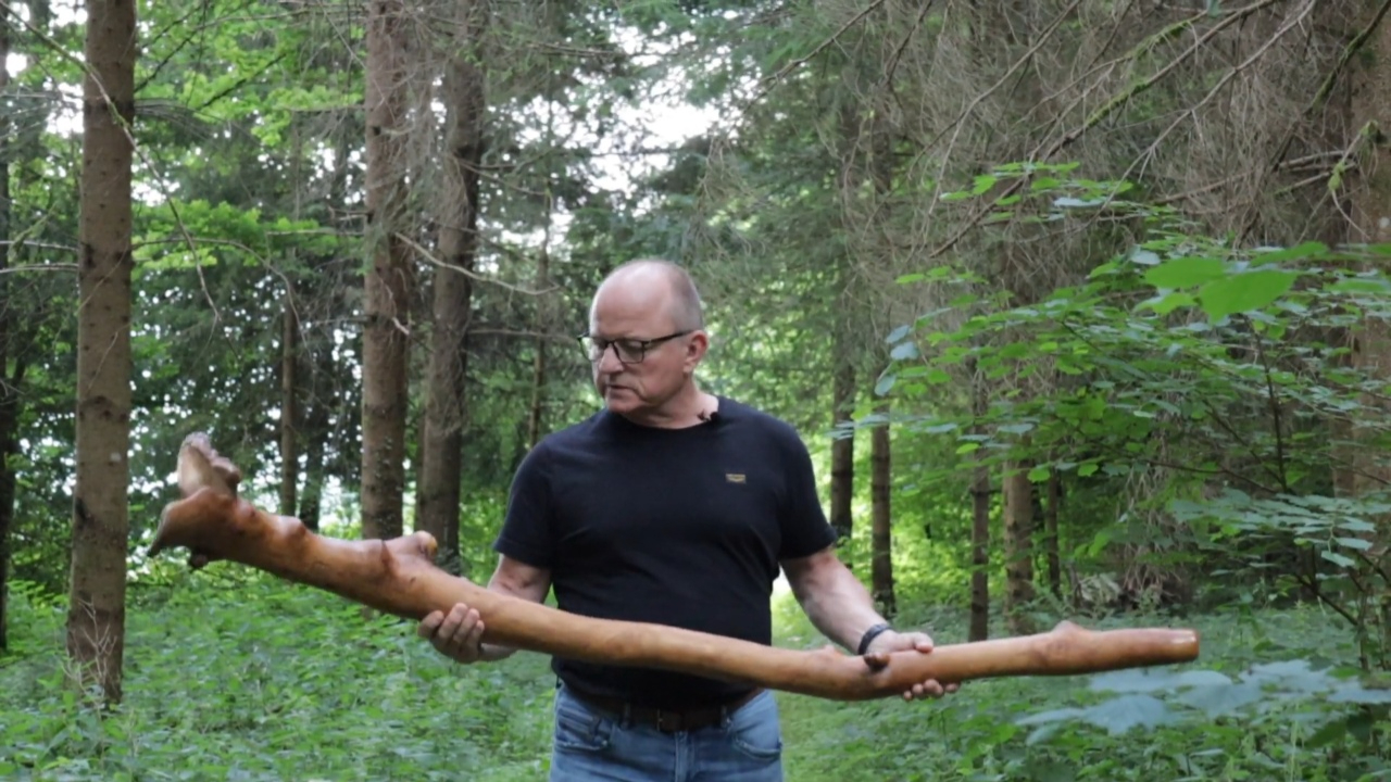 Vorschaubild Video Waldschmiede